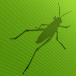 Grasshopper 初階課程 (台北-三天)